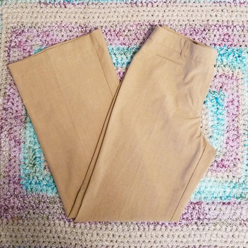 BCBG dress pants flare leg